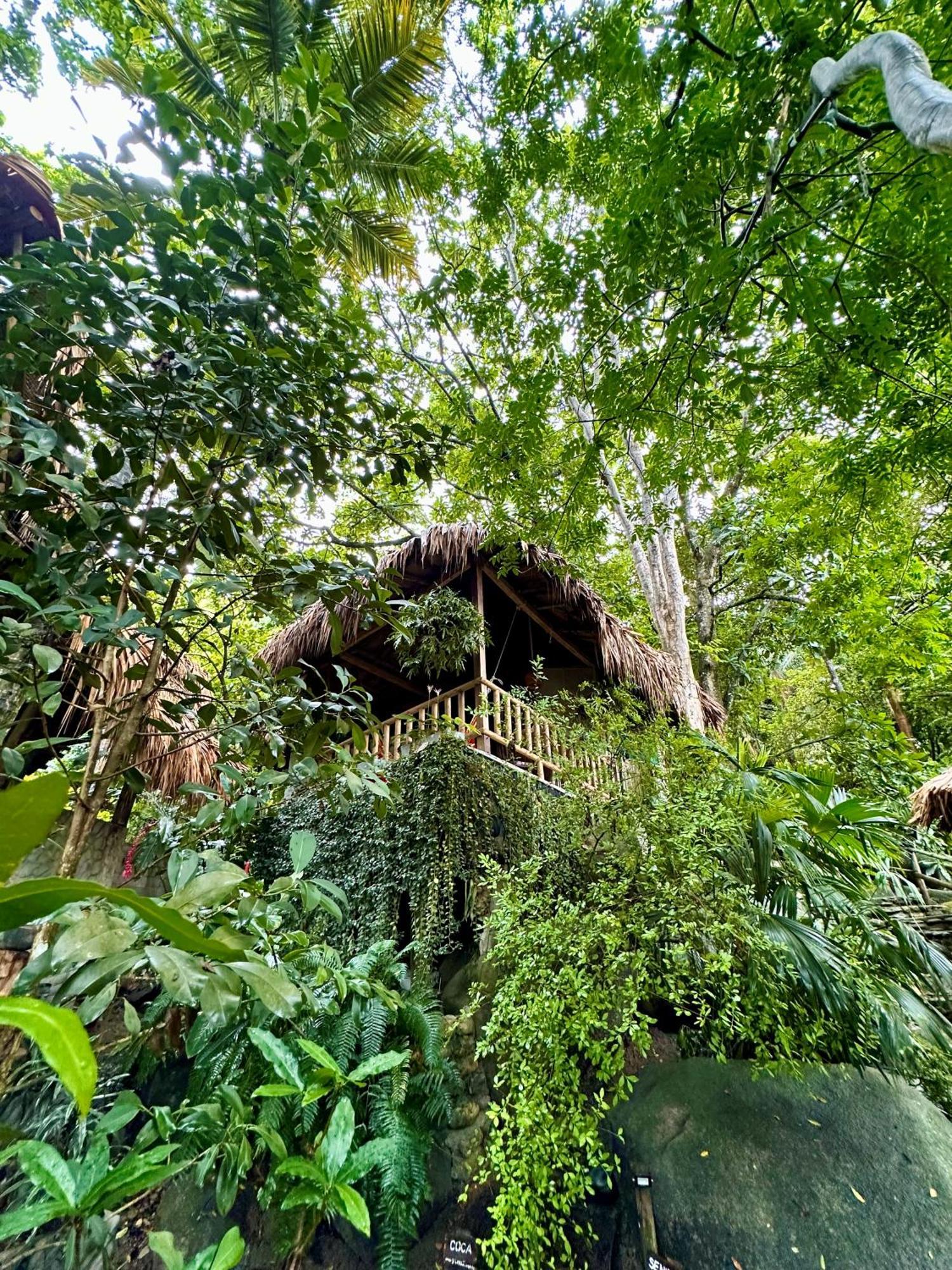 Eco Hostal Yuluka El Zaino Luaran gambar